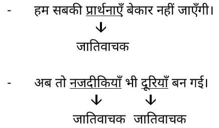 संज्ञा किसे कहते हैं ? संज्ञा की परिभाषा, संज्ञा के भेद What is Sangya in Hindi 